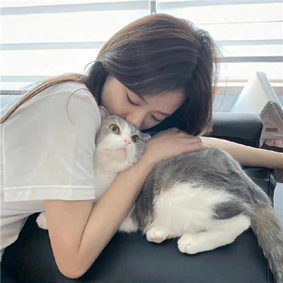 小迪兹的完美观念